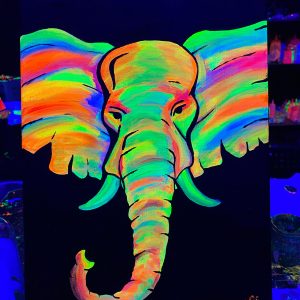 Cuadro fluorescente de elefante en taller para pintar cuadro neón en Barcelona.