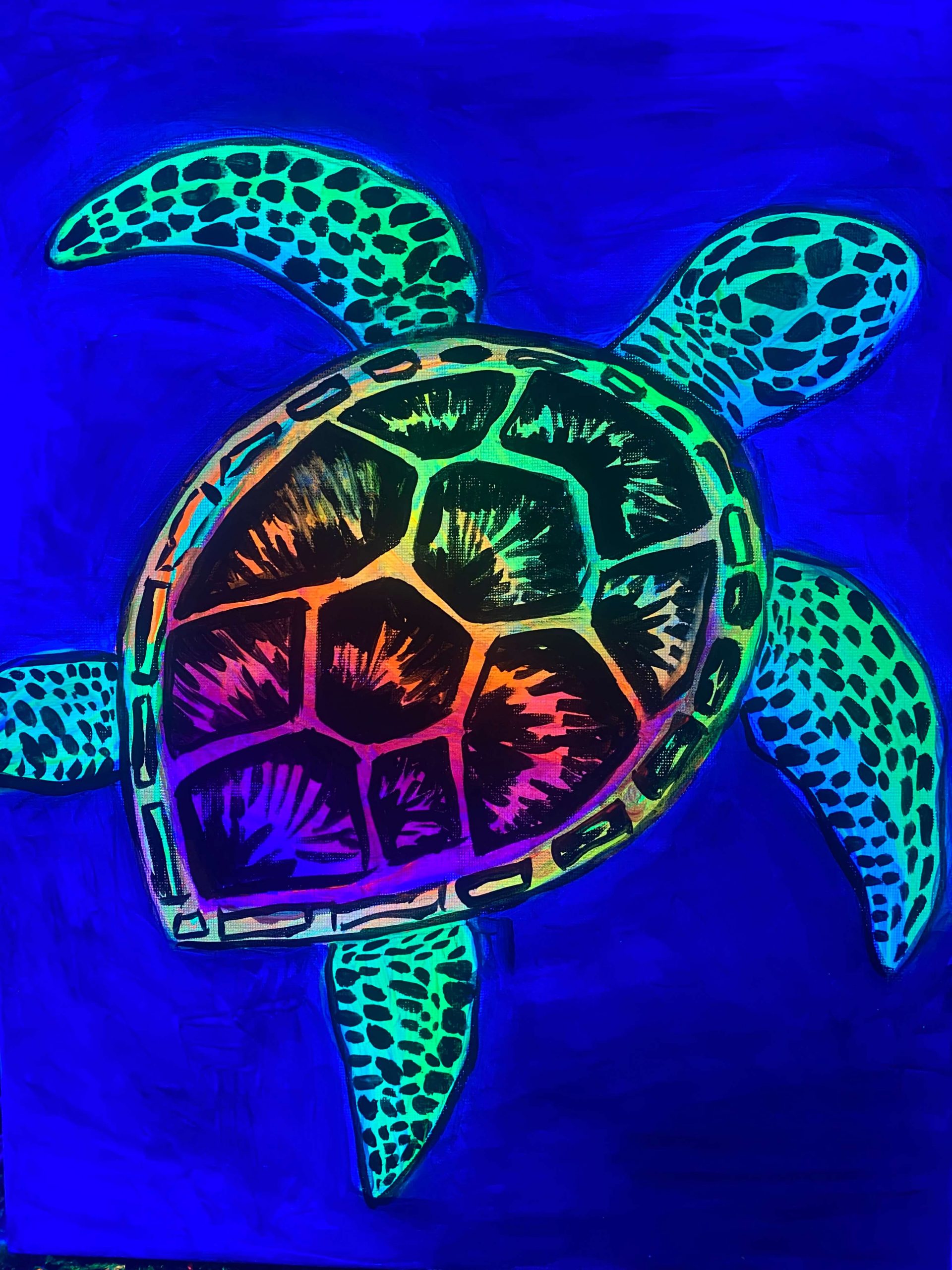 Cuadro terminado de una tortuga con pintura Neon en Barcelona.